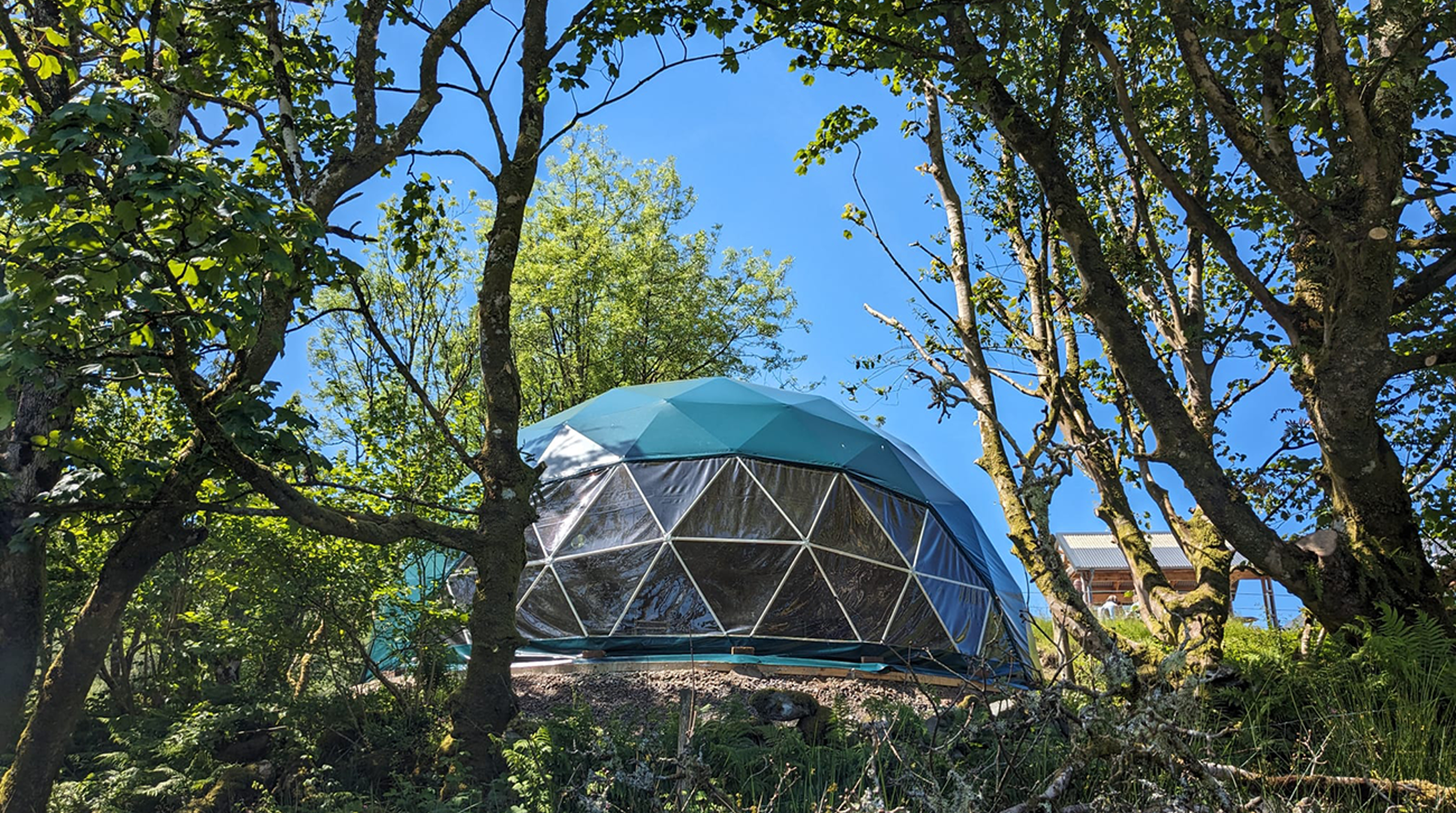 dome in forest