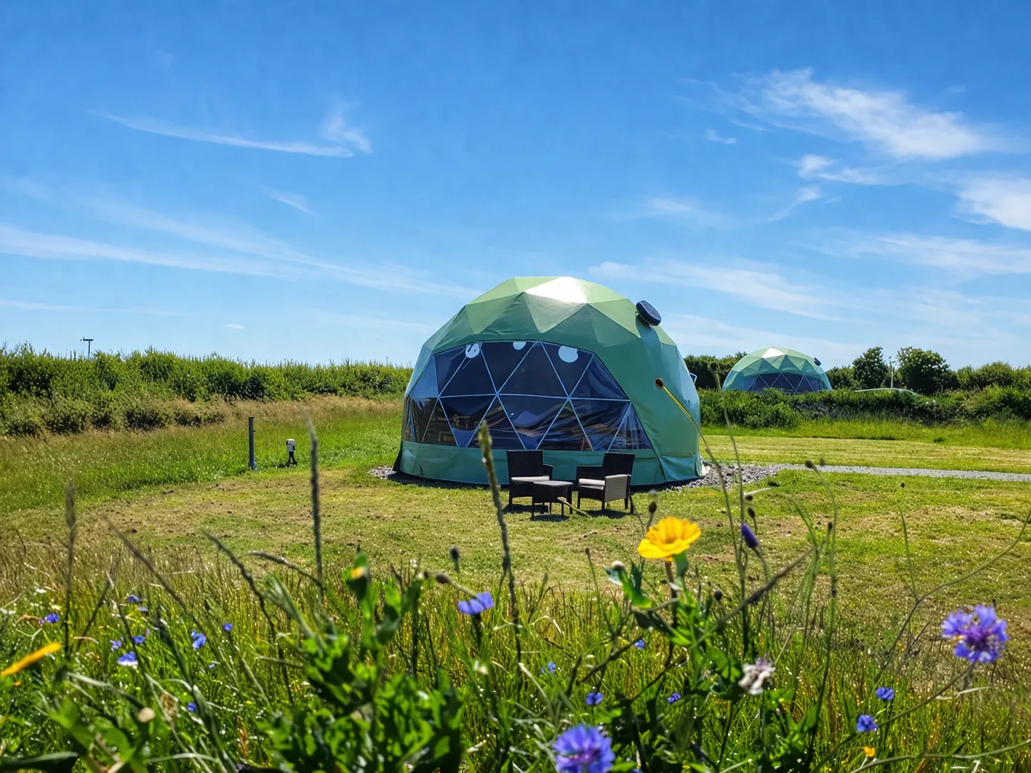 stargaze_why trudomes glamping domes in summer meadow